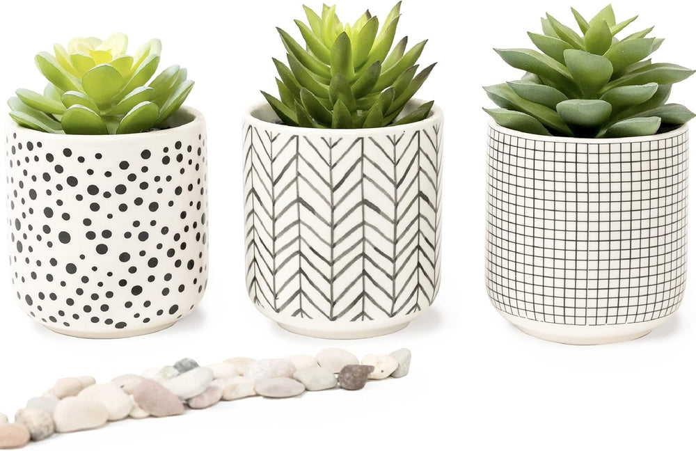 Kurrajong Farmhouse Artificial Succulents in pots | Set of 3 Black and White ...
