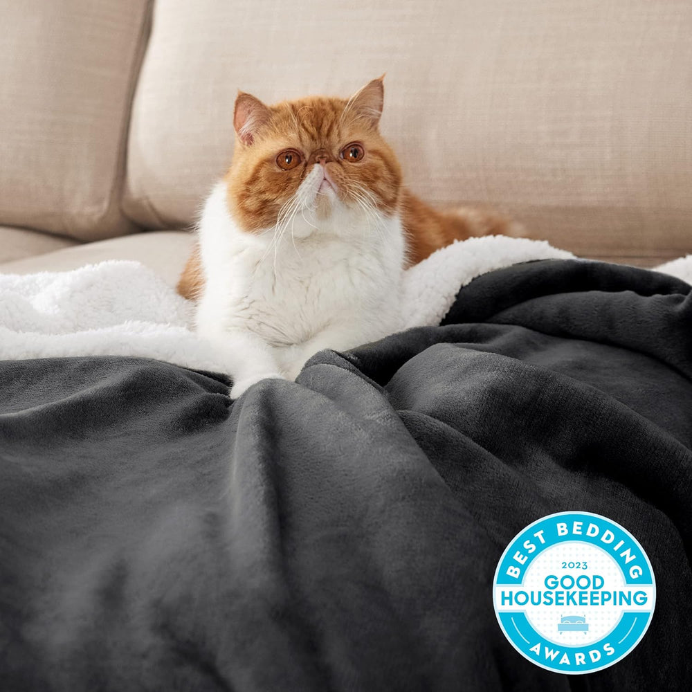 Bedsure GentleSoft Sherpa Fleece Twin Size Blanket for Couch, Non-Heated, Thi...