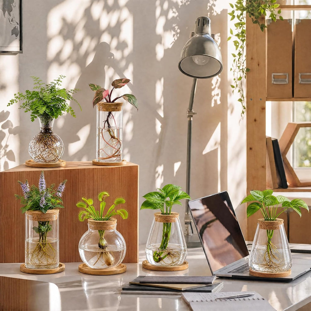 Honeydak 6 Pcs Plants Propagation Stations with Wooden Lid and Bamboo Stand