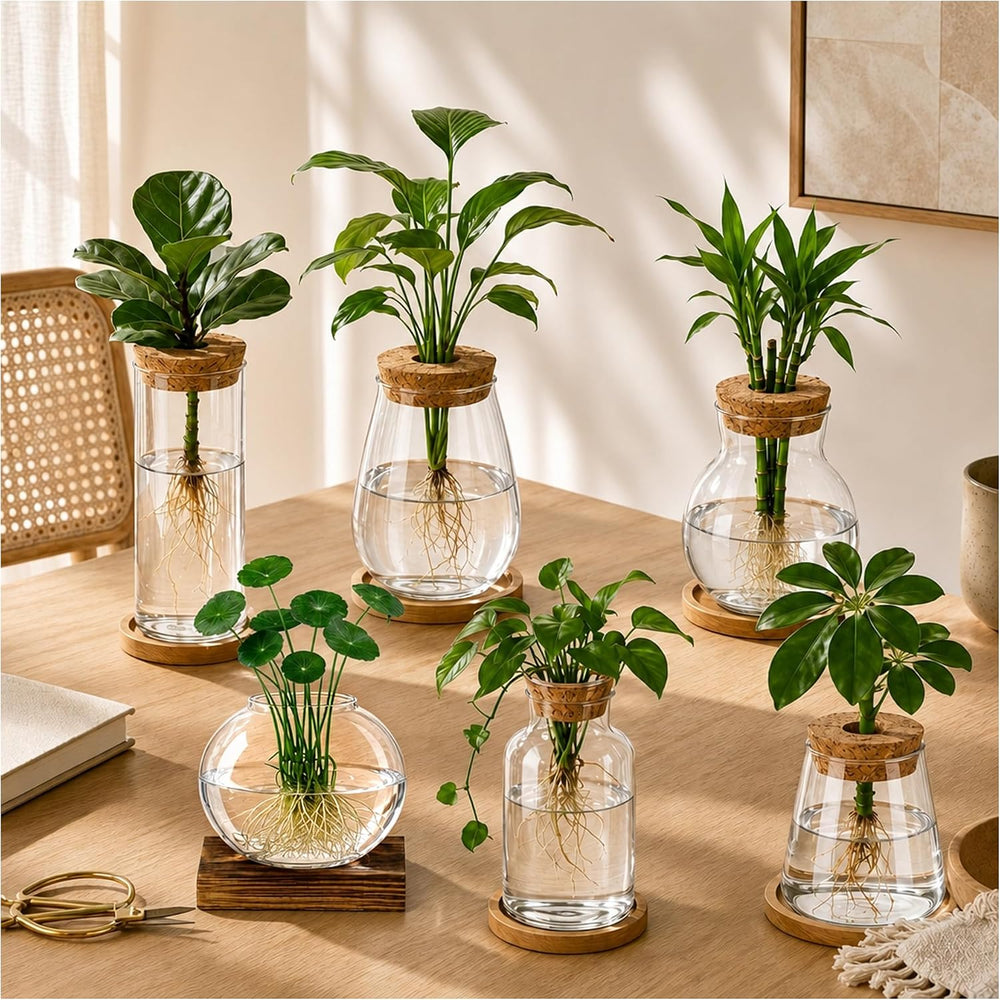 6 Pcs Plant Propagation Station Set, Glass Propagation Vases for Plants with ...