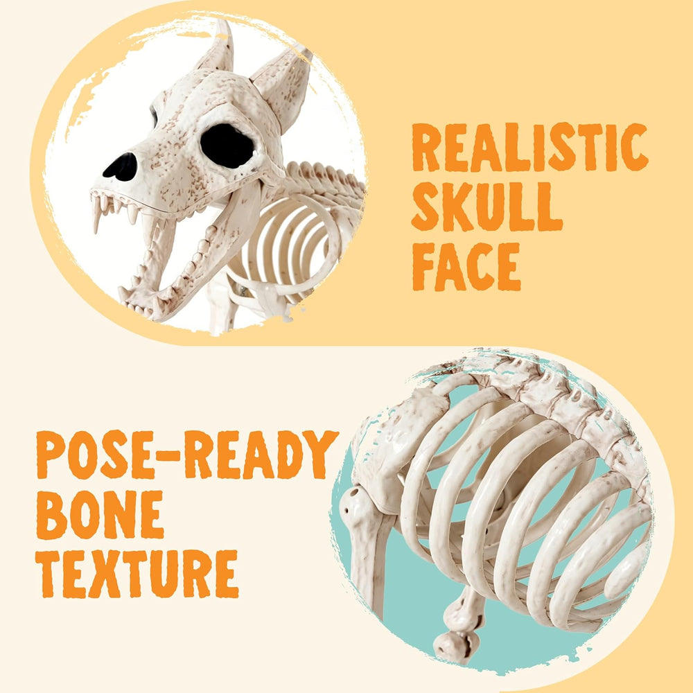 JOYIN 34โ Wolf Skeleton Halloween Decoration, Plastic Animal Skeleton with Mo...