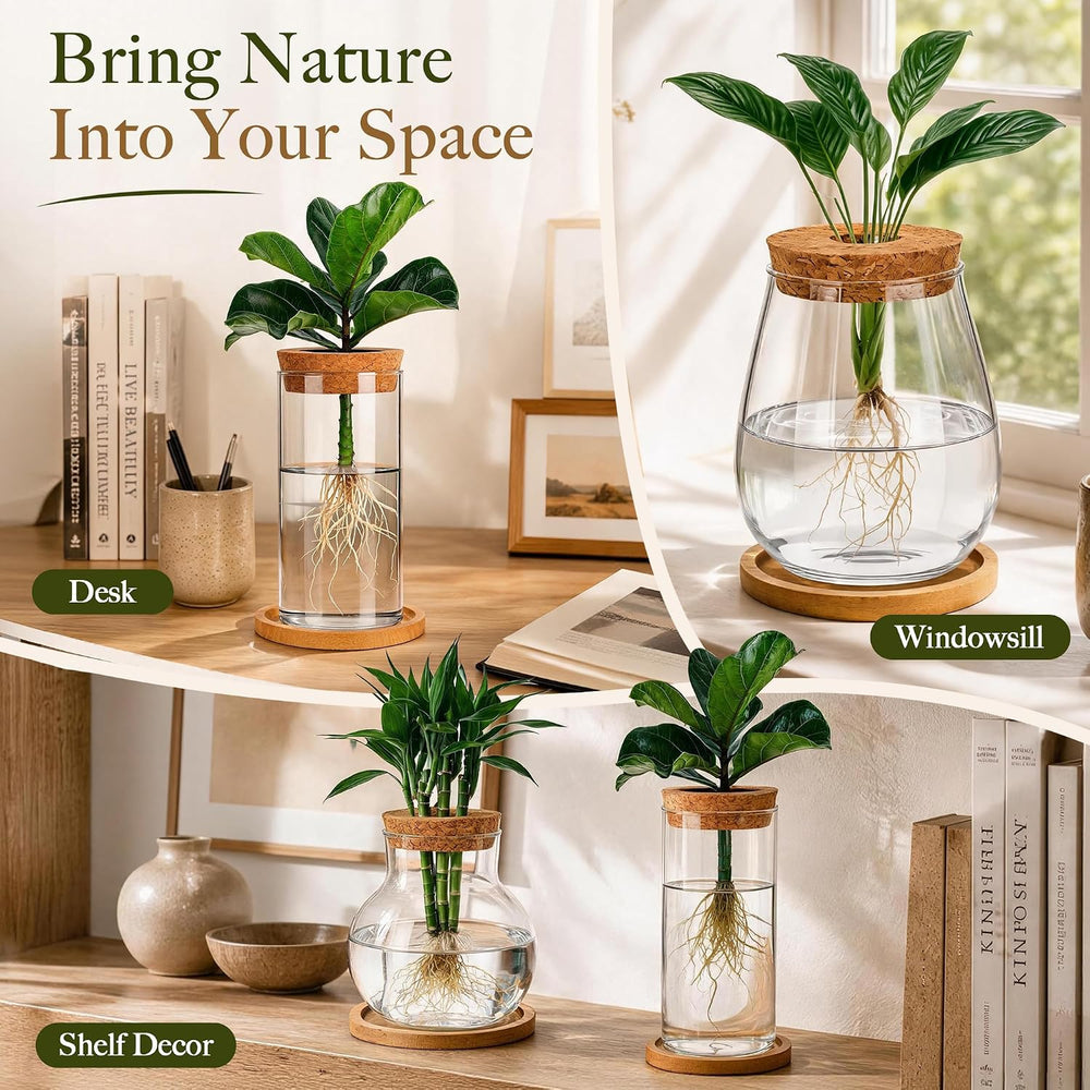 6 Pcs Plant Propagation Station Set, Glass Propagation Vases for Plants with ...