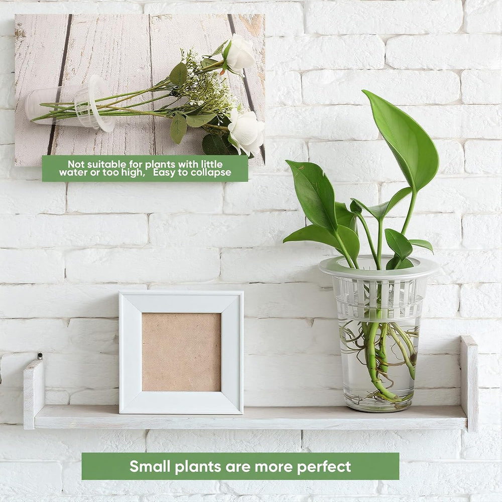 Baderke 100 Pcs Plastic Plant Propagation Vase for Indoor Decor, 3.94''