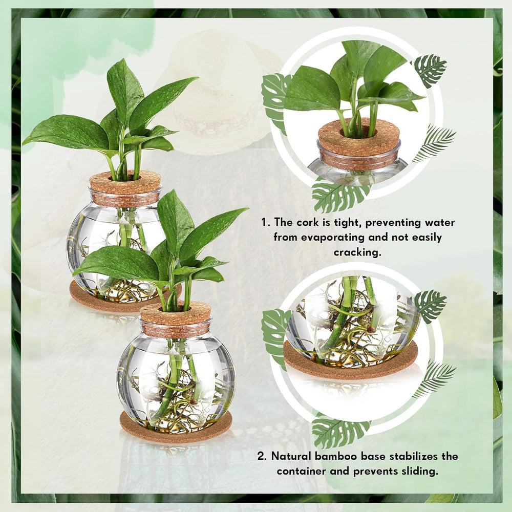 12 Packs Propagation Vases for Plants