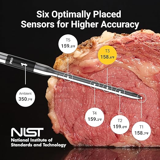 ThermoMaven Wireless Bluetooth Smart Meat Thermometer: Standalone Base