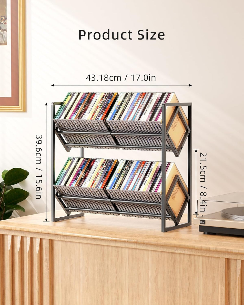 2-Tier CD Storage Metal Display Shelf, CD Holder Rack with Adjustable Divider...