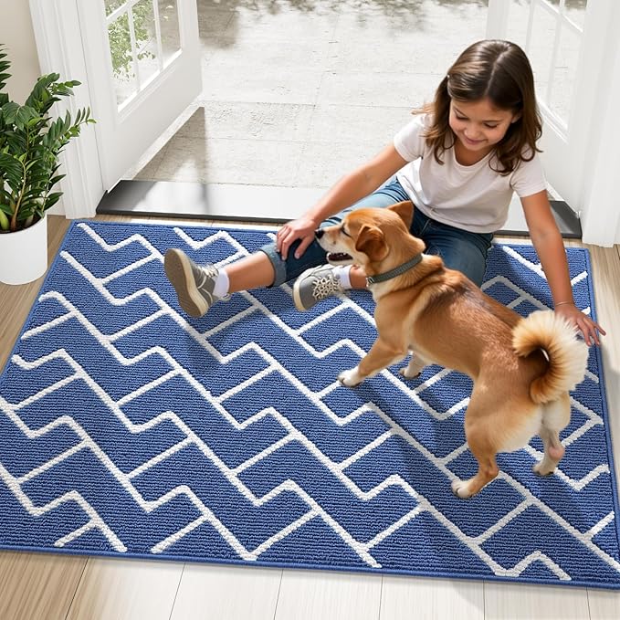 OLANLY Front Door Mat, Non-Slip Rubber Backing, Dirt Resistant and Absorbent