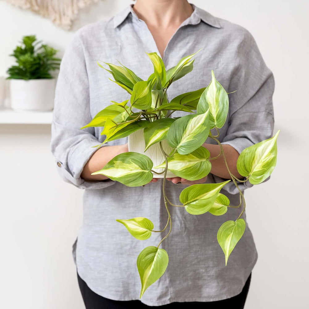 Kurrajong Farmhouse Light Green Fake pothos Plant | Fake Plant for Shelf Deco...