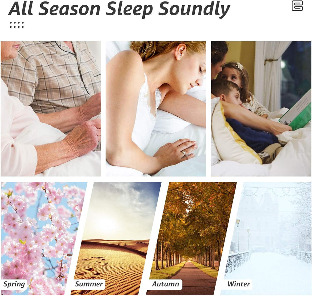 Queen Comforter, All Season Down Alternative Duvet Insert, Cooling Quilted Be...