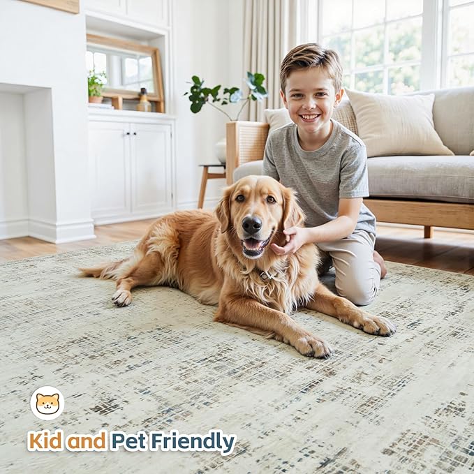 10x12 Area Rugs for Living Room Washable Rug: Anti-Skid Abstract Modern Living