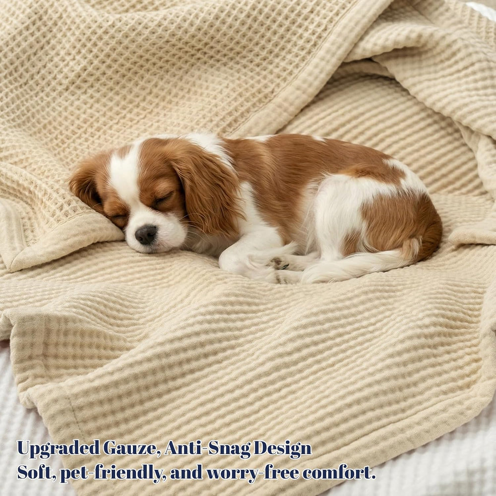 PHF 100% Cotton Waffle & Muslin Blanket Queen Size, 90" x 90", ...