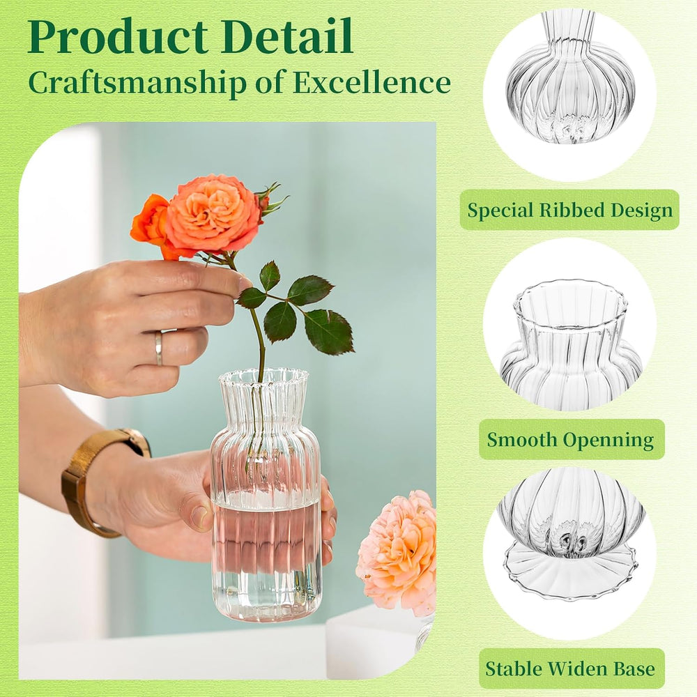 Mini Glass Vases for Centerpieces - Hewory Small Clear Bud Vase in Bulk, Cute...