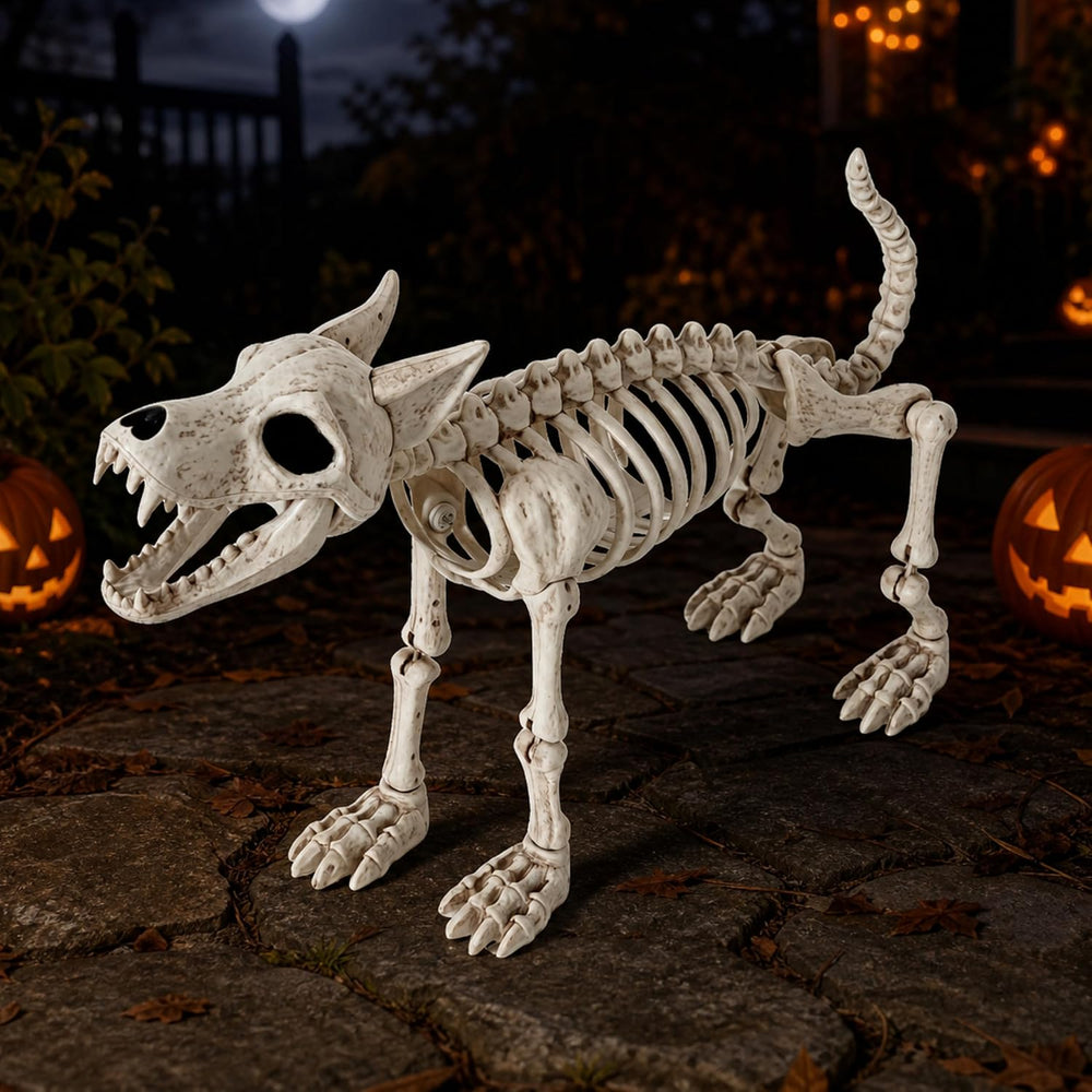 JOYIN 34โ Wolf Skeleton Halloween Decoration, Plastic Animal Skeleton with Mo...