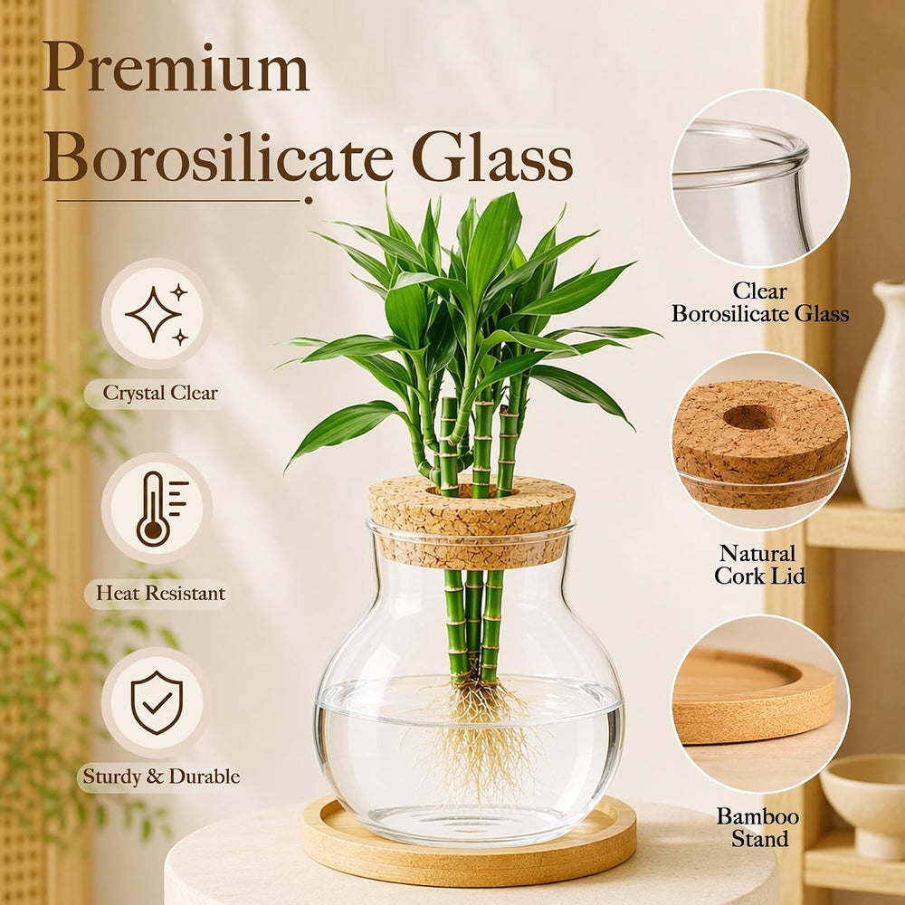 6 Pcs Plant Propagation Station Set, Glass Propagation Vases for Plants with ...