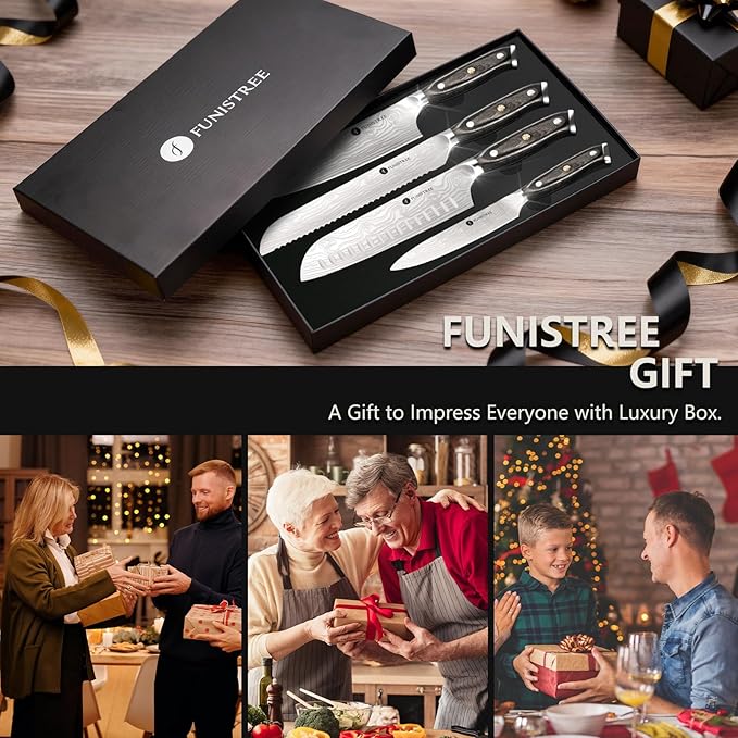 4 Pieces Professional Kitchen Knife Set, Damascus German Stainless Steel Chef
