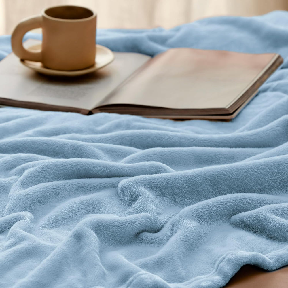 Bedsure GentleSoft Fleece Bed Blankets Queen Size Light Blue - Soft Lightweig...