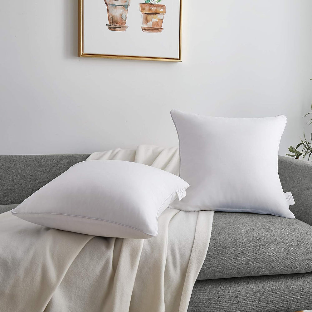 Oubonun 20 x 20 Throw Pillow Inserts (Set of 2) with 100% Cotton Cover - 20 I...