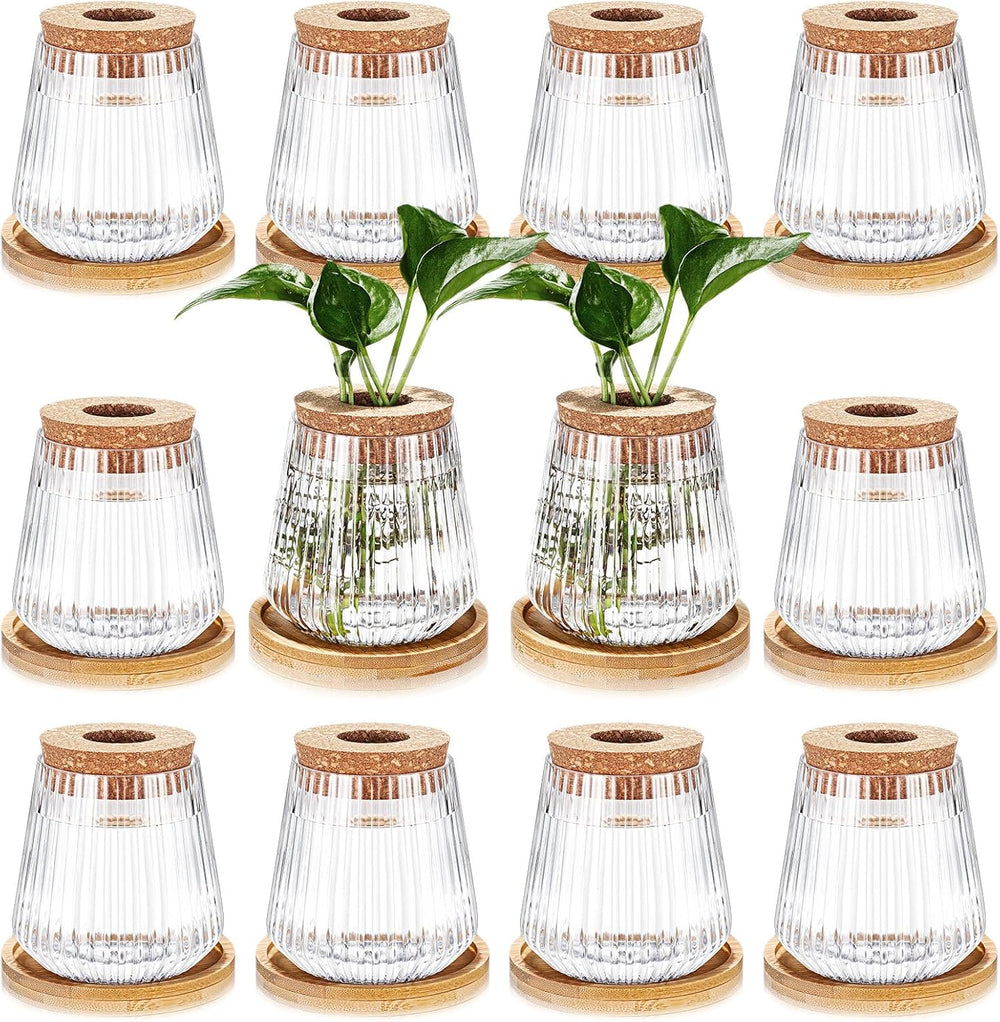 Baderke 12 Pack Propagation Vases for Plants, Vertical Grain Style