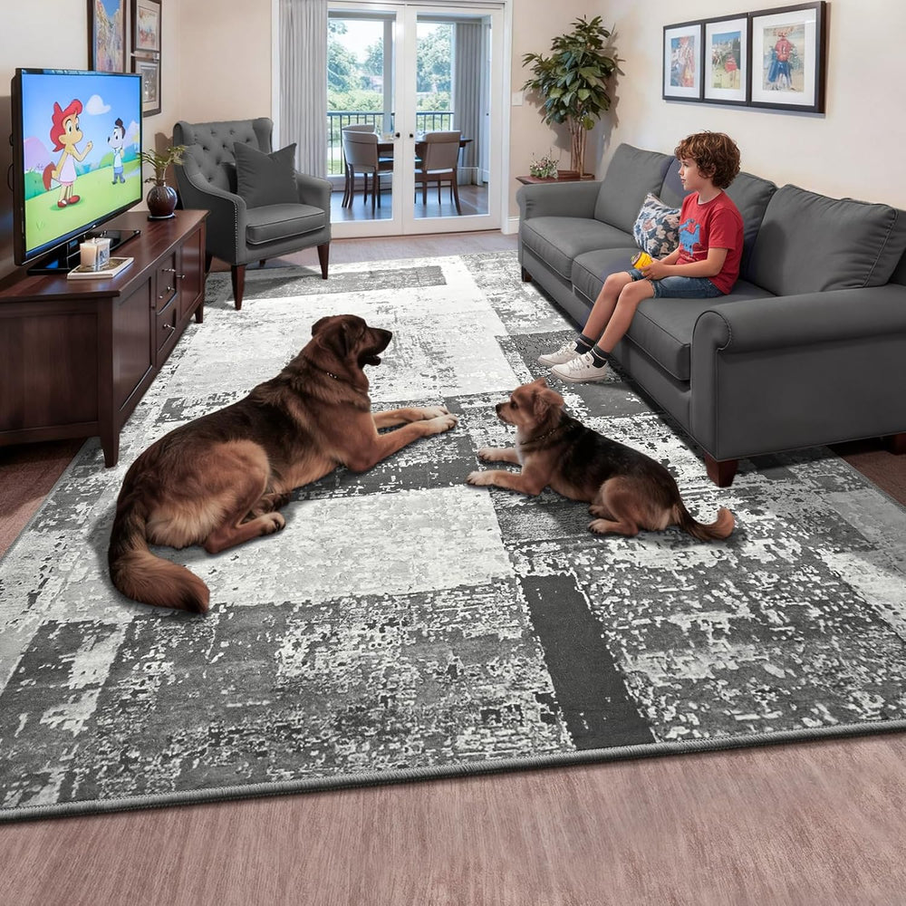 LOCHAS Rug for Living Room 6x9, Washable Soft Area Rugs for Bedroom Grey