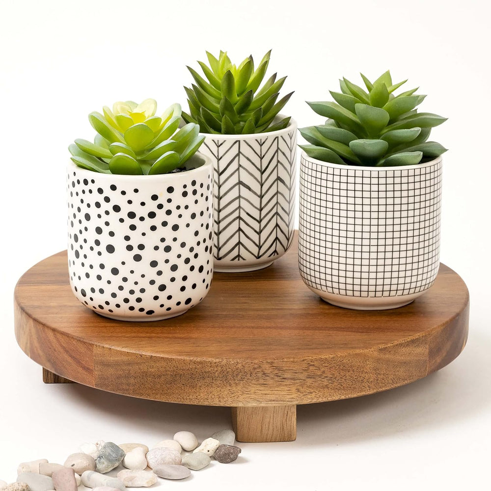 Kurrajong Farmhouse Artificial Succulents in pots | Set of 3 Black and White ...