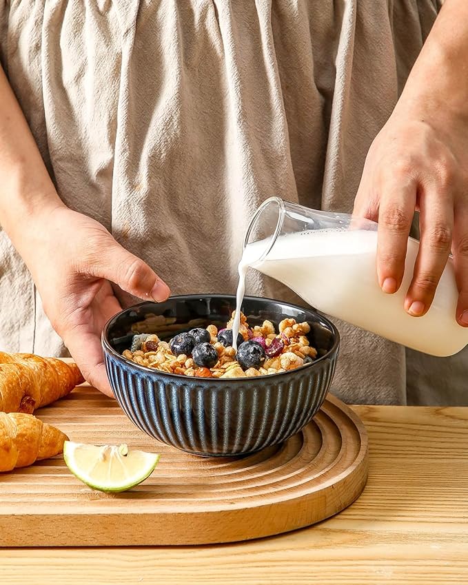 Hasense Porcelain Cereal Bowls Set 24 Oz