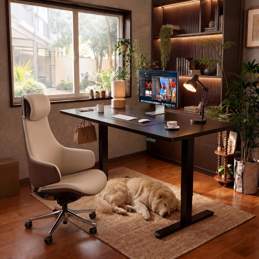 Furmax 55 x 24 Inches Electric Height Adjustable Standing Desk Large Sit Stan...