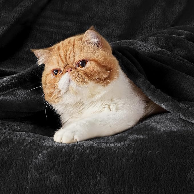 Bedsure GentleSoft Fleece Bed Blankets Large Size Black