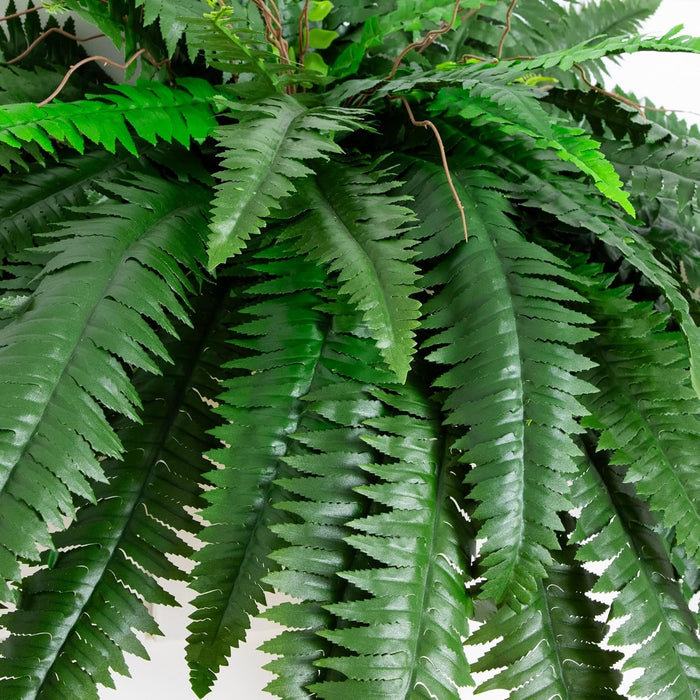 Nearly Natural 48in Boston Fern Artificial Plant, Large Hanging Fake Plant with 67 Long Realistic Fronds, Maintenance-Free Faux Fern for Office and Home Décor (Set of 2)