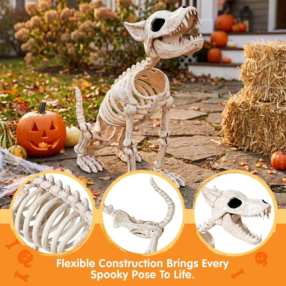 JOYIN 34โ Wolf Skeleton Halloween Decoration, Plastic Animal Skeleton with Mo...