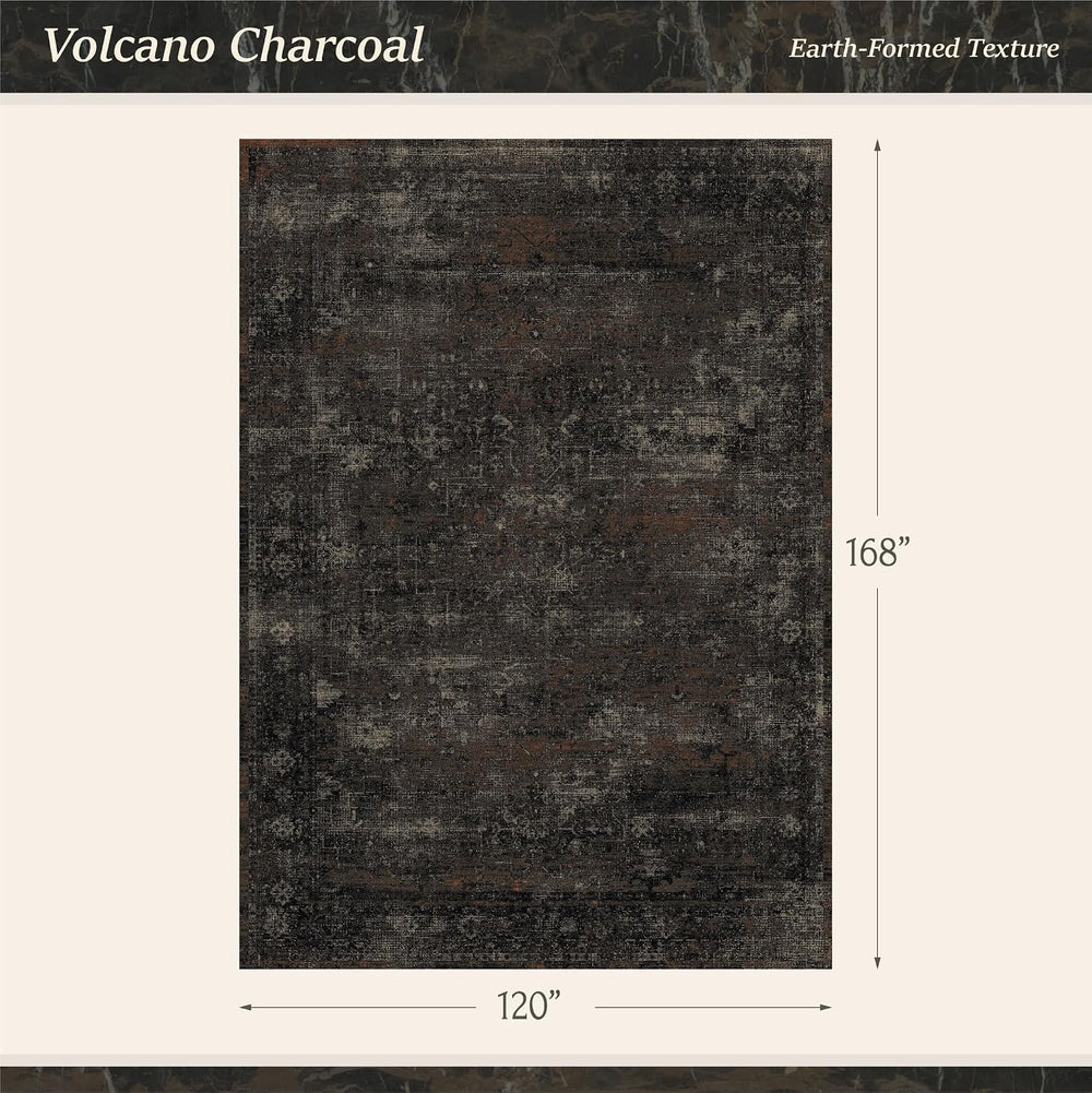 TALANOVA Modern Farmhouse Black 10x14 Washable Area Rug for Living Room &...
