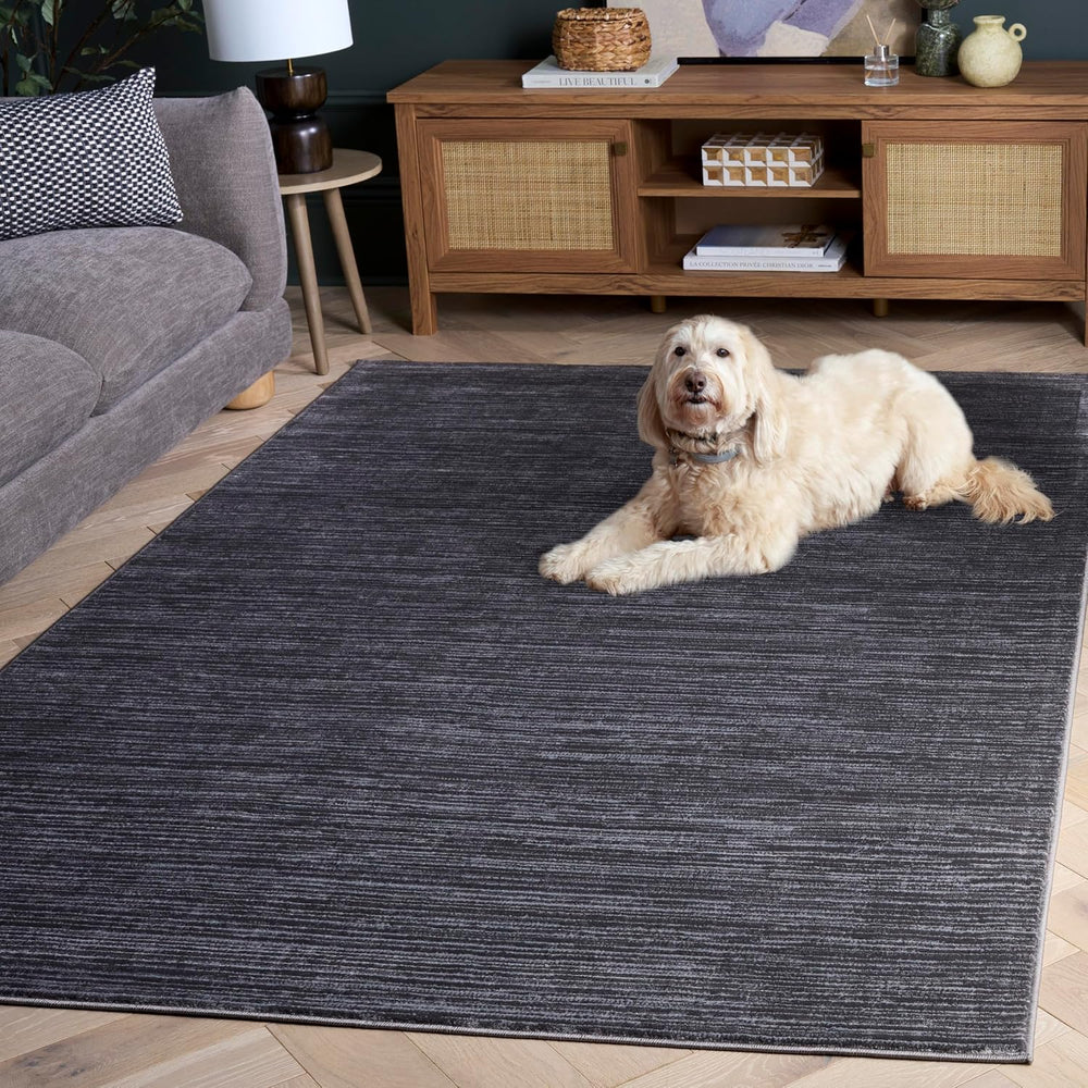 SAFAVIEH Vision Area Rug 6x9, Grey VSN606D
