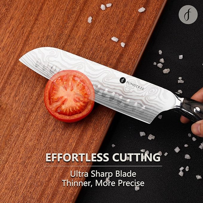 4 Pieces Professional Kitchen Knife Set, Damascus German Stainless Steel Chef