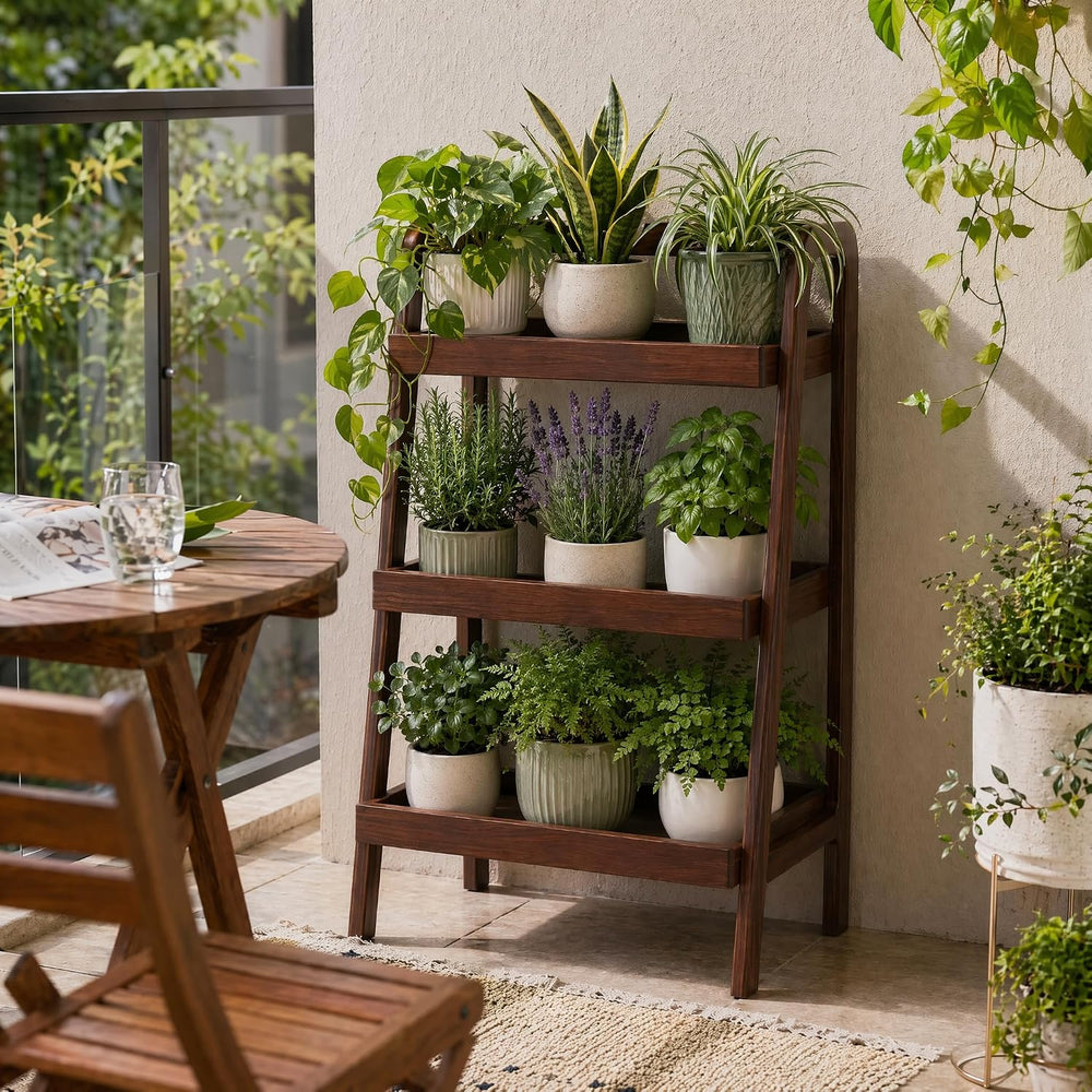 Solid Oak Small Bookshelf, 3 Tier Ladder Shelf Walnut Bookcase | Ladder books...