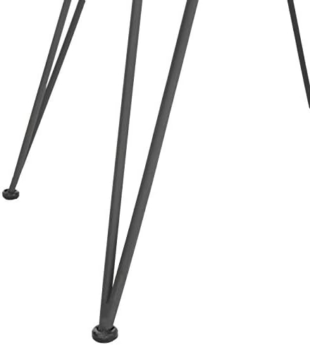 Safavieh Home Jadis White and Dark Grey Leather Woven Dining Chair, Set of 2