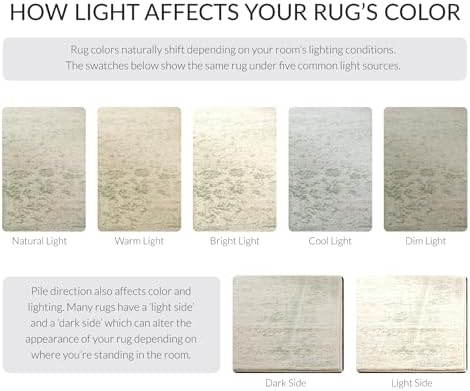 SAFAVIEH Area Rug 8x10 - Adirondack Collection - Large - Ivory & Sage, Di...