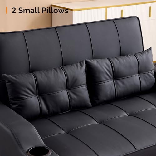 VINGLI Convertible Loveseat Sleeper Sofa Bed, Pullout Couch for Living Room