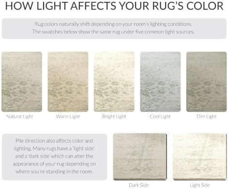 SAFAVIEH Area Rug 8x10 - Adirondack Collection - Large - Ivory & Sage, Di...