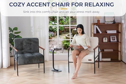 MAXYOYO Accent Chair, Modern Living Room Chair with Metal Frame