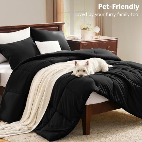 CozyLux King Size Comforter Set, 3-Piece Box-Stitched, Black