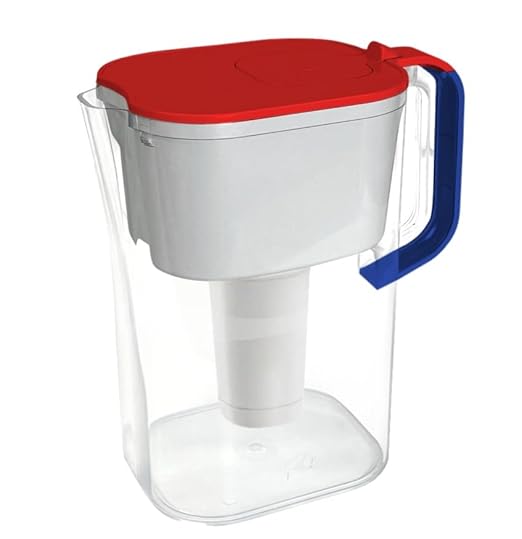 HOMEWATER 10-Cup Pitcher Filter – BPA-Free, High-Capacity 2.4L Fast-Flow Carbon by HomeWater