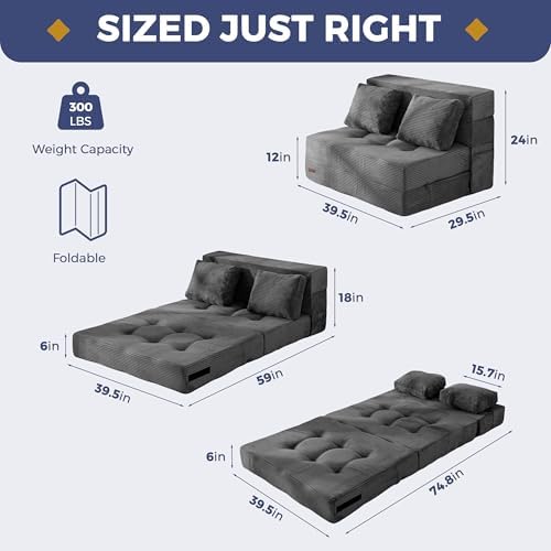 MAXYOYO Convertible Sofa Bed, Fold Out Sofa Couch with Pillow for Adults