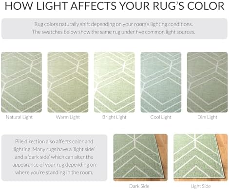 SAFAVIEH Adirondack Area Rug 8'x10', Modern Sage & Ivory ADR241Y