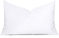MIULEE Throw Pillow Insert Premium Pillow Stuffer Sham Rectangle by MIULEE