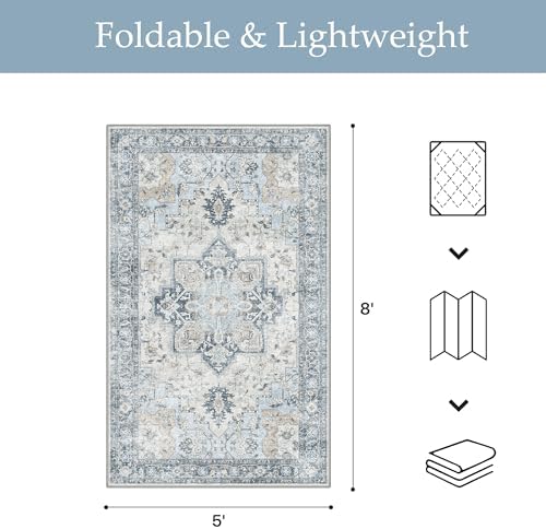 GENIMO Indoor Outdoor Rug, Washable for Patio and Deck, Light Blue, 5x8
