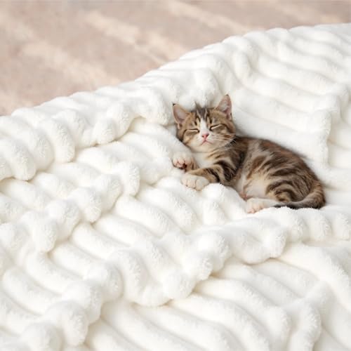 Bedsure Soft Cozy Queen Size Fleece Blanket for Bed Off White 90"x90"