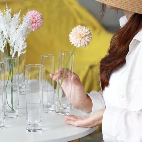 Glass Cylinder Bud Vases for Centerpieces, Set of 12 Clear Small vases,Handma...