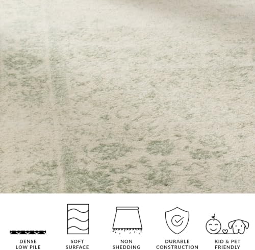 SAFAVIEH Area Rug 8x10 - Adirondack Collection - Large - Ivory & Sage, Di...
