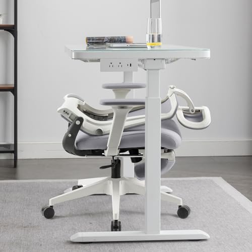 Ergonomic Foldable Office Chair with Footrest and Lumbar Support, Grey