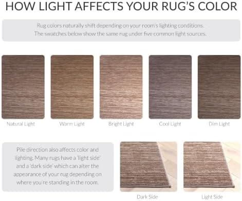 SAFAVIEH Vision Area Rug 6x9, Modern Tonal Light Brown VSN606C
