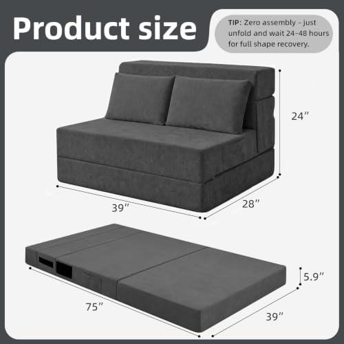 Folding Sofa Bed, Convertible Sleeper Chair Bed with Pillow